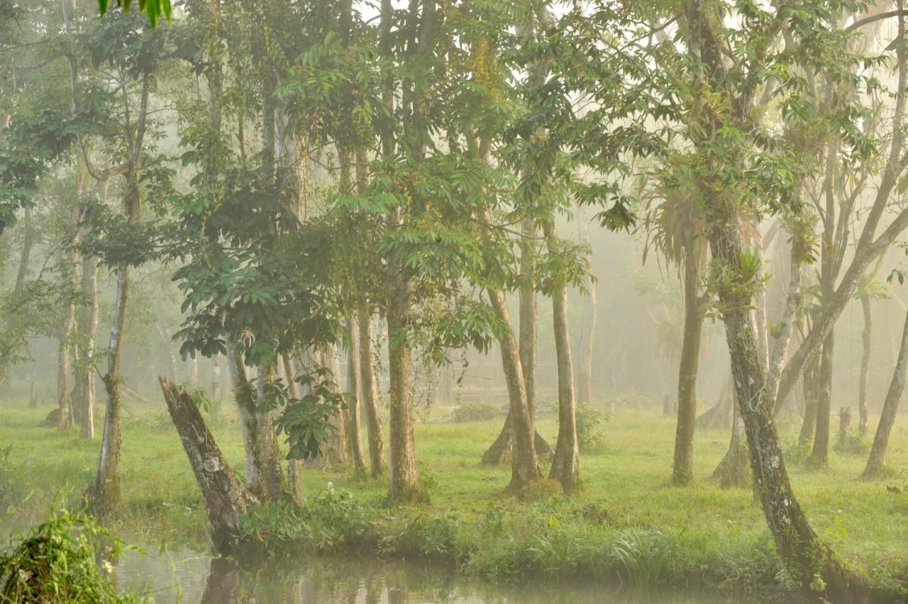 Dreamcatcher Eco Lodge (Adults Only) Rio Dulce Ngoại thất bức ảnh
