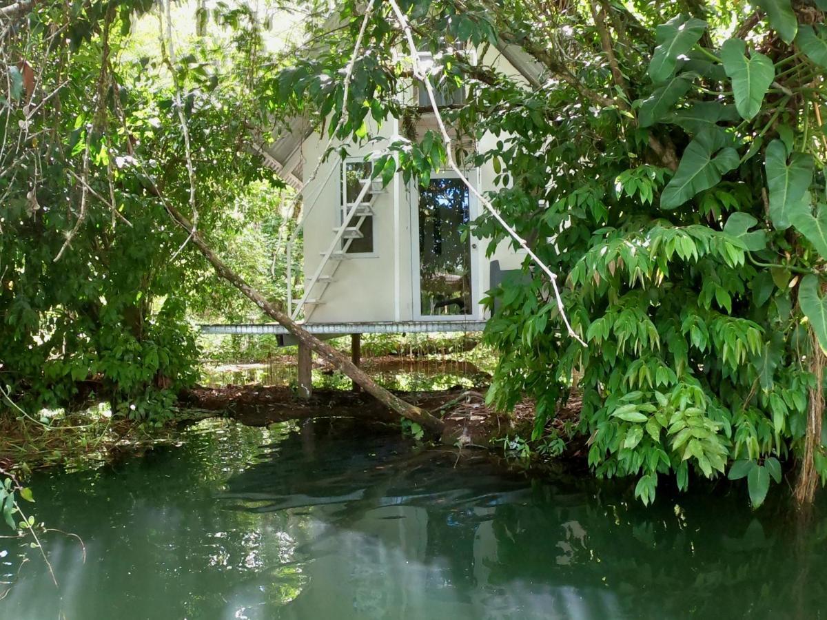 Dreamcatcher Eco Lodge (Adults Only) Rio Dulce Ngoại thất bức ảnh