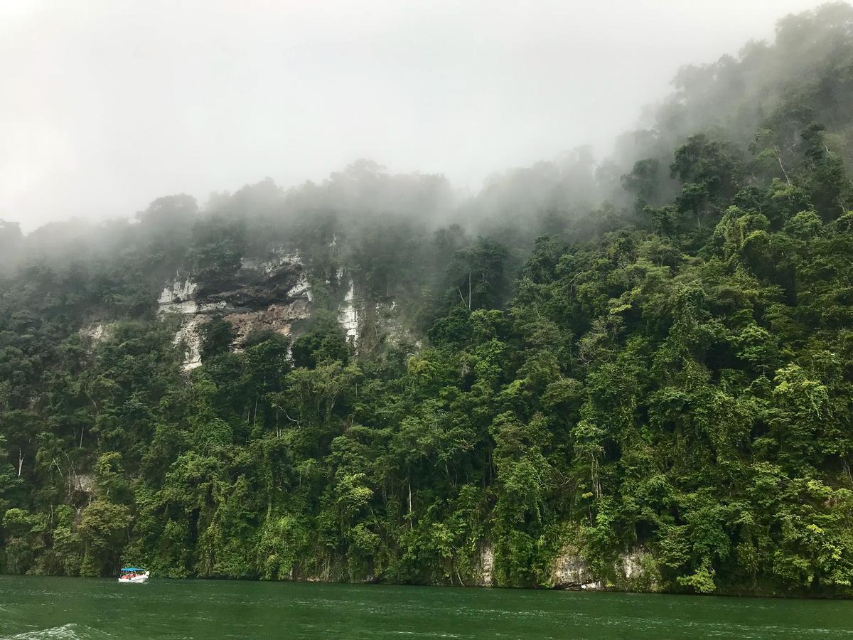 Dreamcatcher Eco Lodge (Adults Only) Rio Dulce Ngoại thất bức ảnh